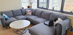 create-your-own-couch-with-sections