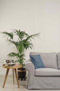 relaxing-setting-tidy-room-article