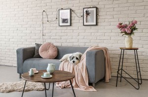 dog-on-the-couch-furry-friends-sofa-cover-for-dogs